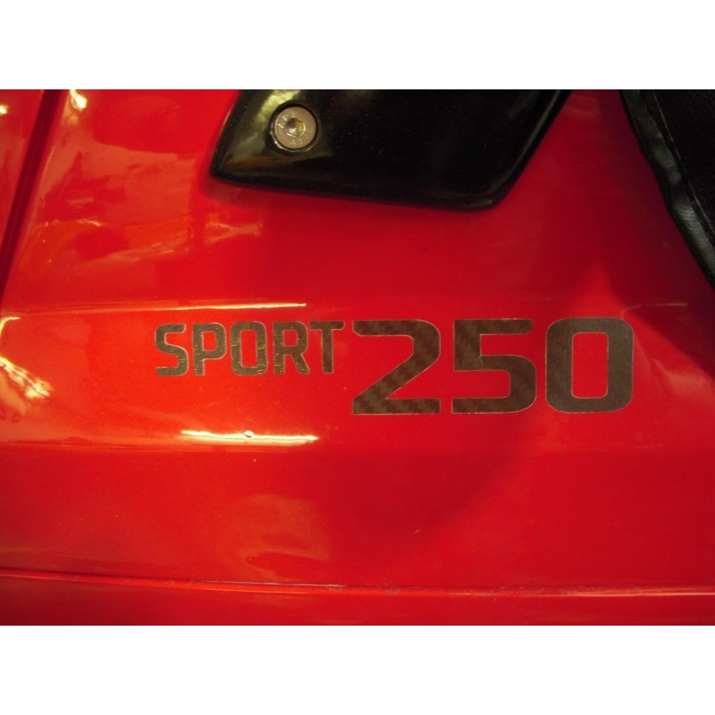 Sport 250 Carbon Transfer 150x30mm