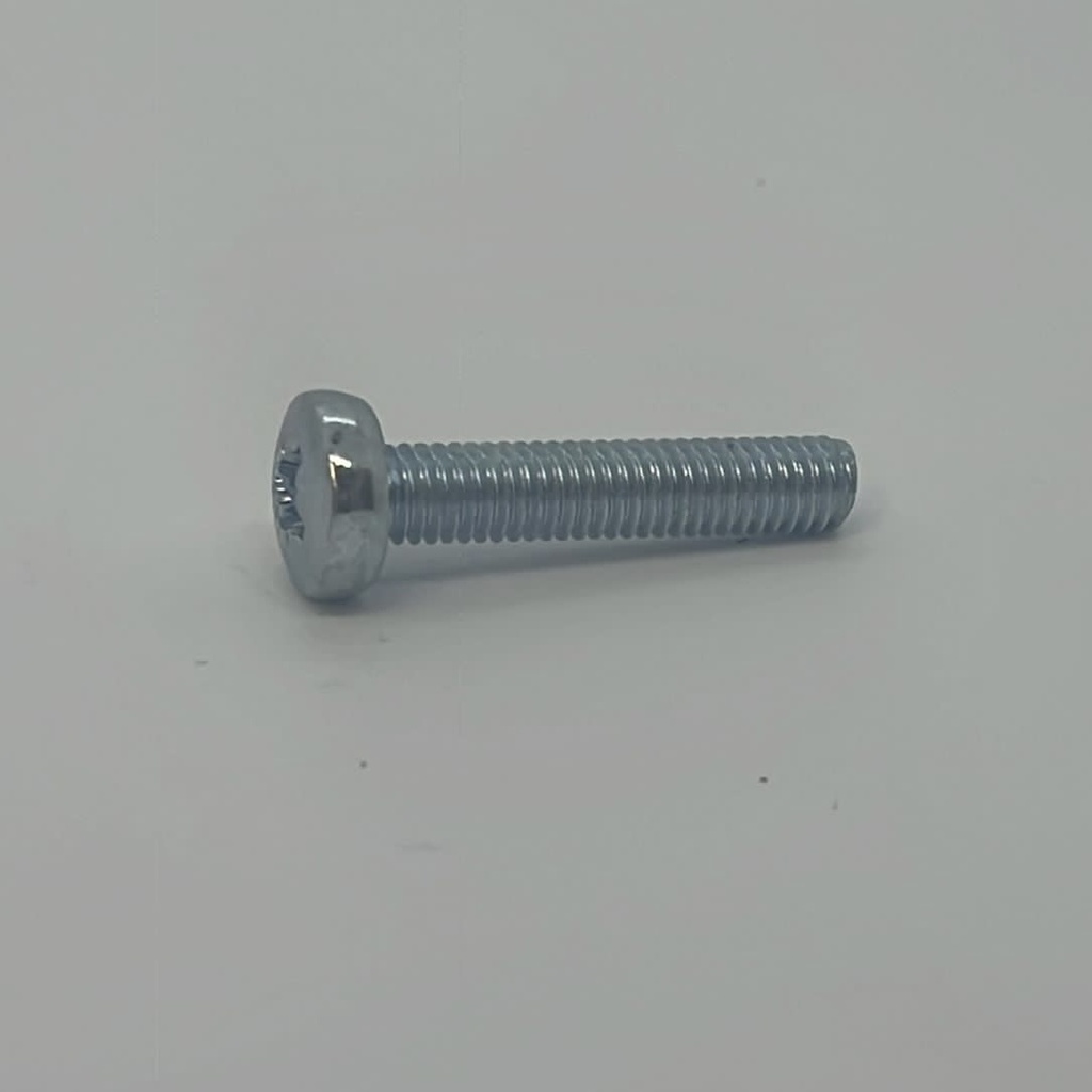 M6 x 30 Pan Head Posi Set Screw