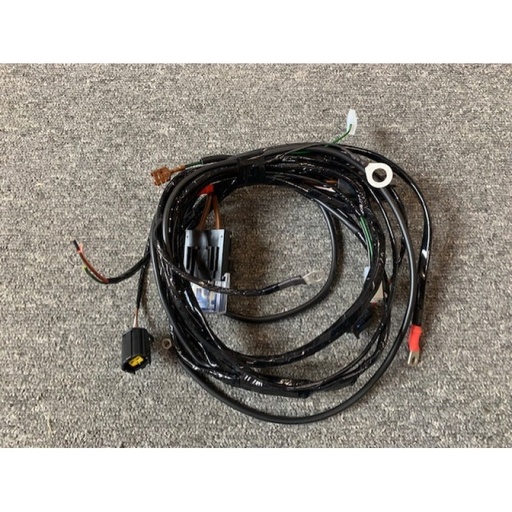 [2921152] Sport 250 Engine Wiring Loom